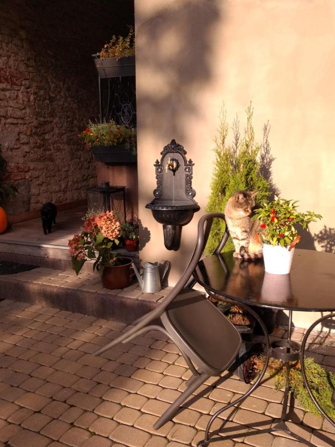 Babie Lato B&B Uniejow Exterior photo